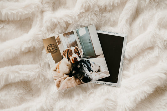 Custom Photo Magnets